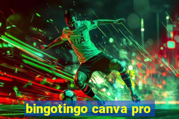 bingotingo canva pro